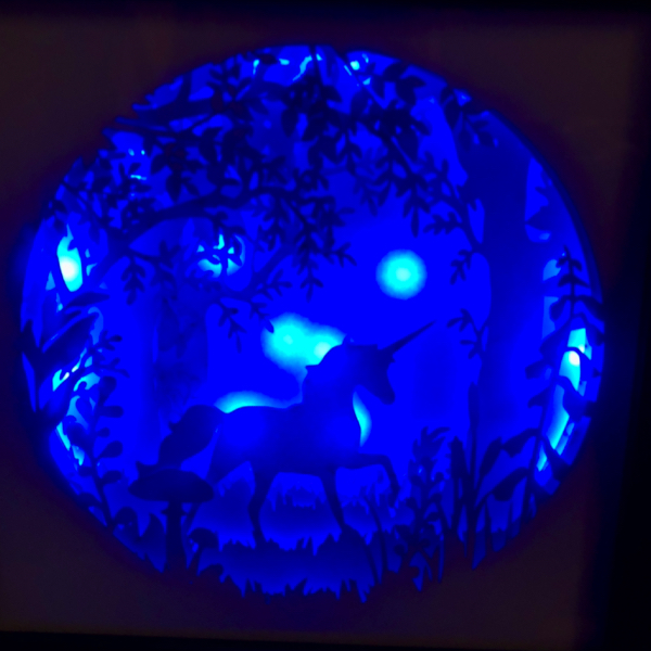L.E.D lit shadow boxes
