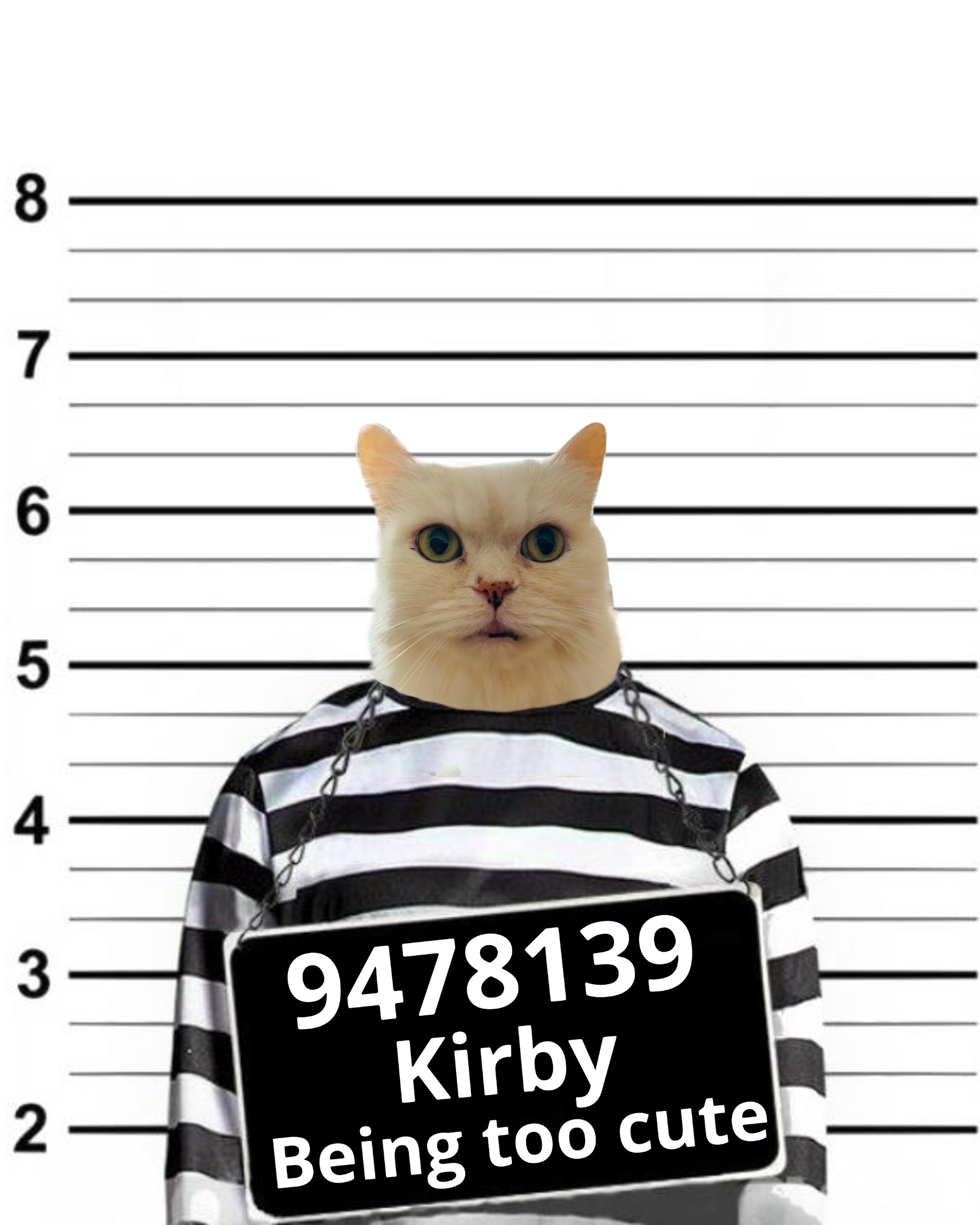 Pet Mugshot