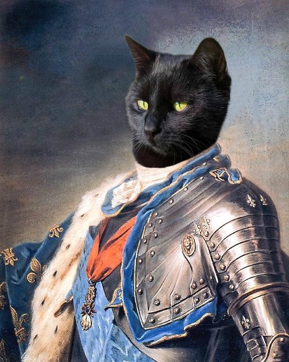 Pet Knight