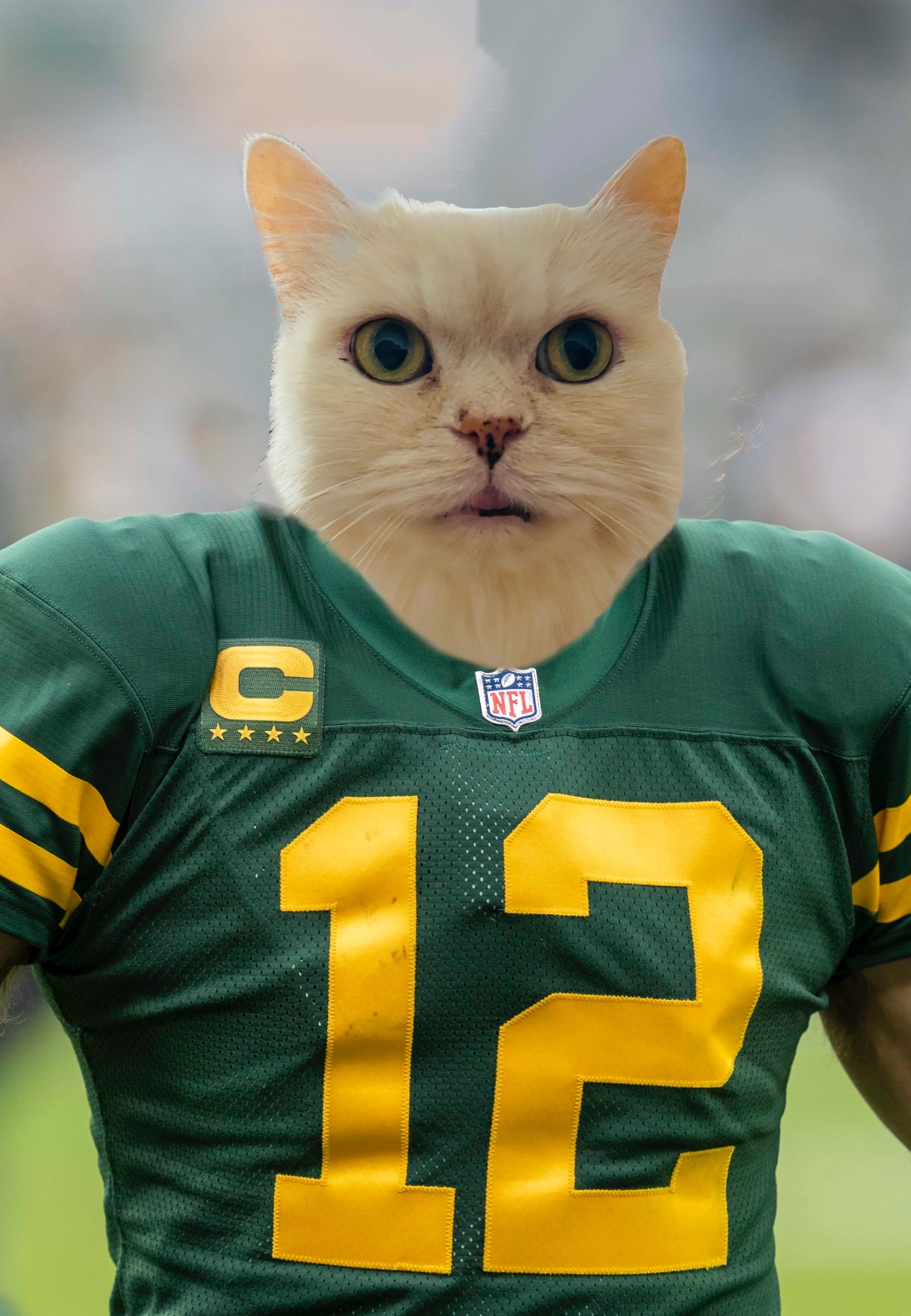 Sports Pet