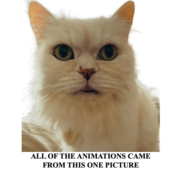 Computer Generated pet pics