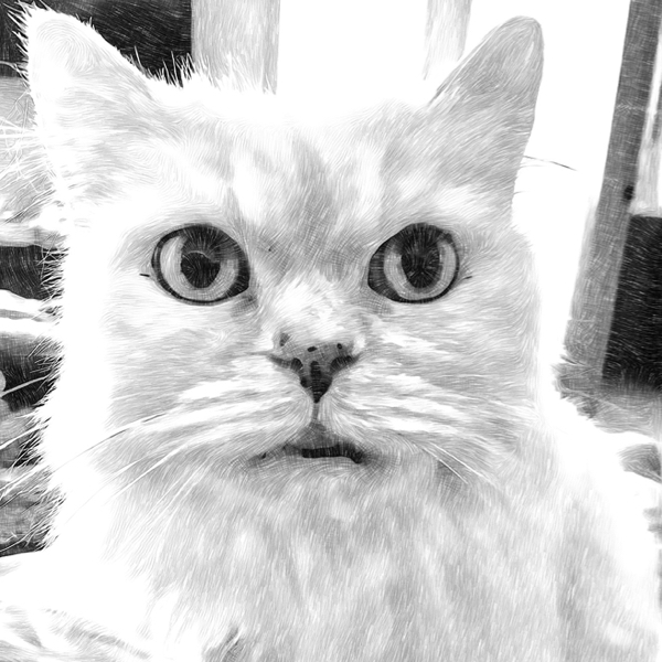 Sketch and oil paint