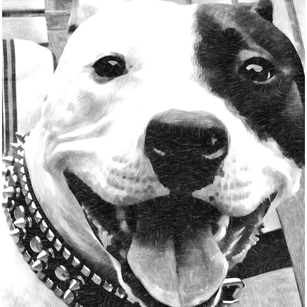 Sketch and oil paint