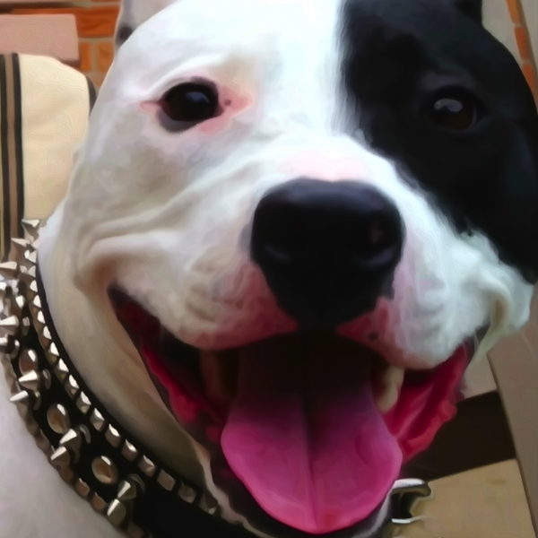 Sketch and oil paint