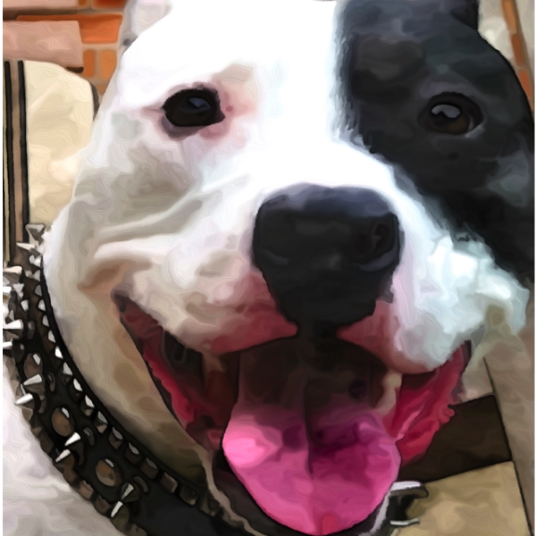 Sketch and oil paint