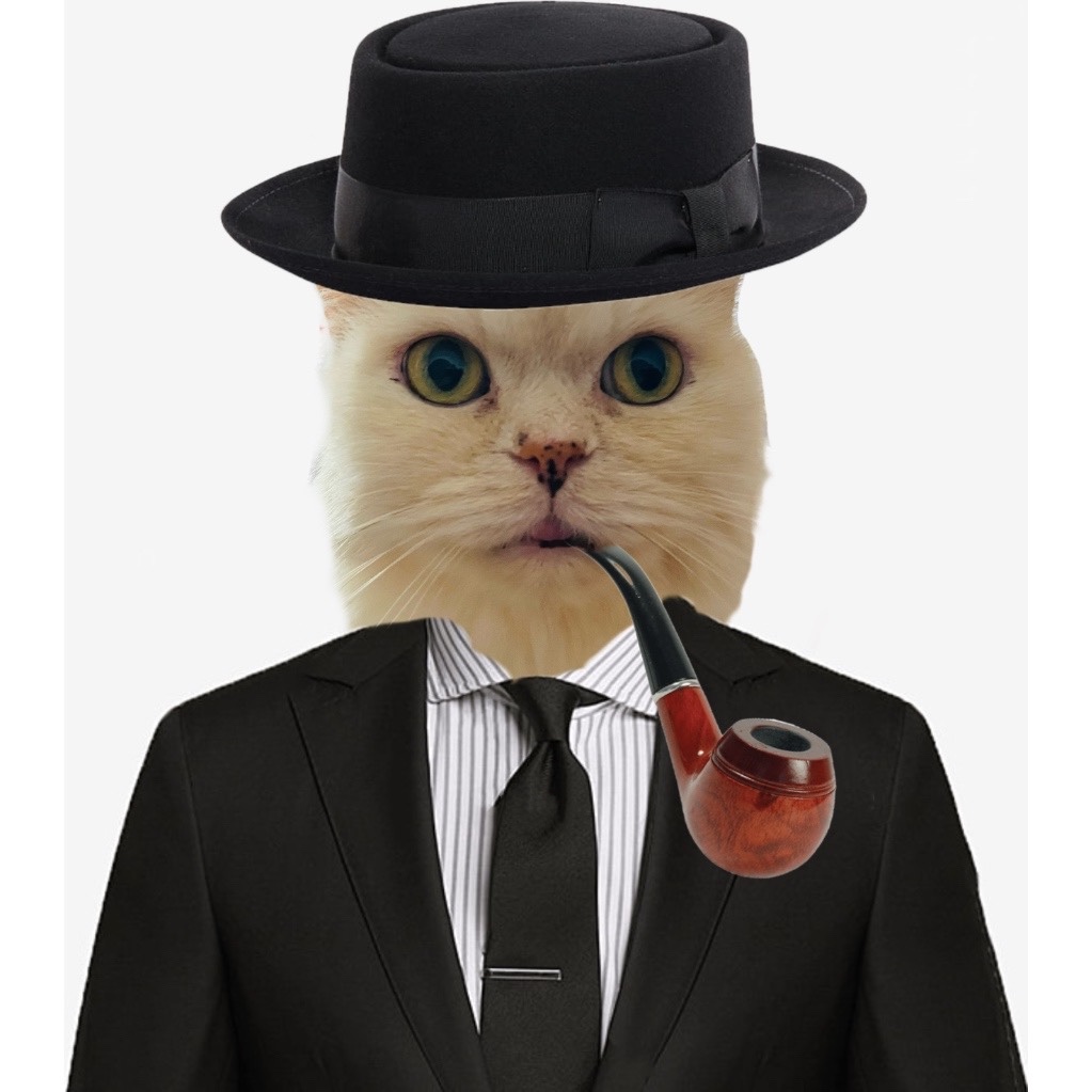 Pet in suit