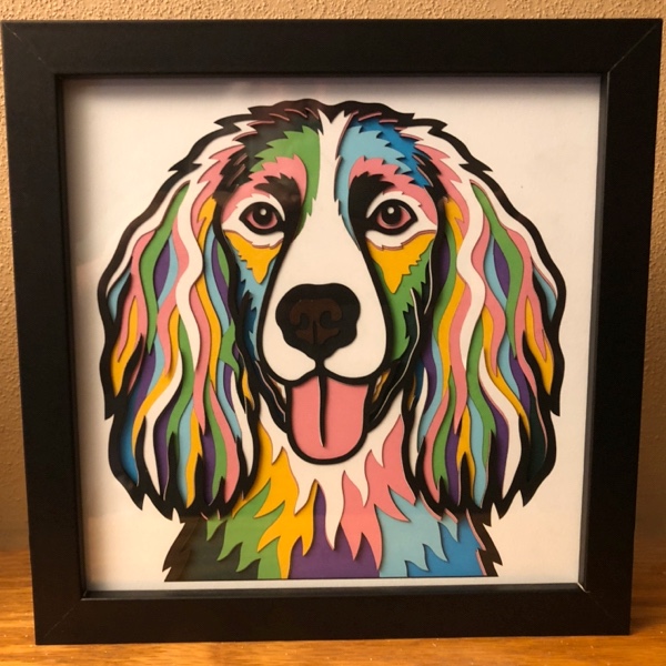 Pet shadow boxes
