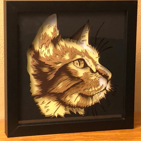 Pet shadow boxes
