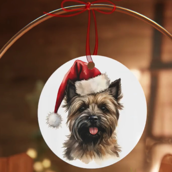 High resolution dog breed with Santa hat ornament