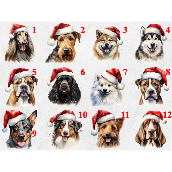 High resolution dog breed with Santa hat ornament