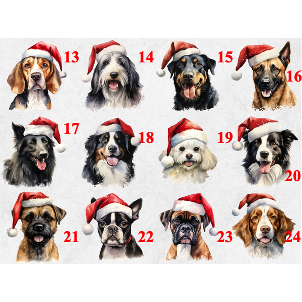 High resolution dog breed with Santa hat ornament