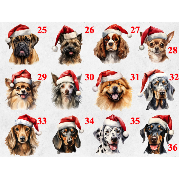 High resolution dog breed with Santa hat ornament