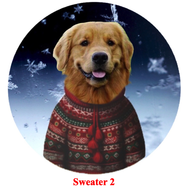 Personalized pet in a Christmas sweater or hat