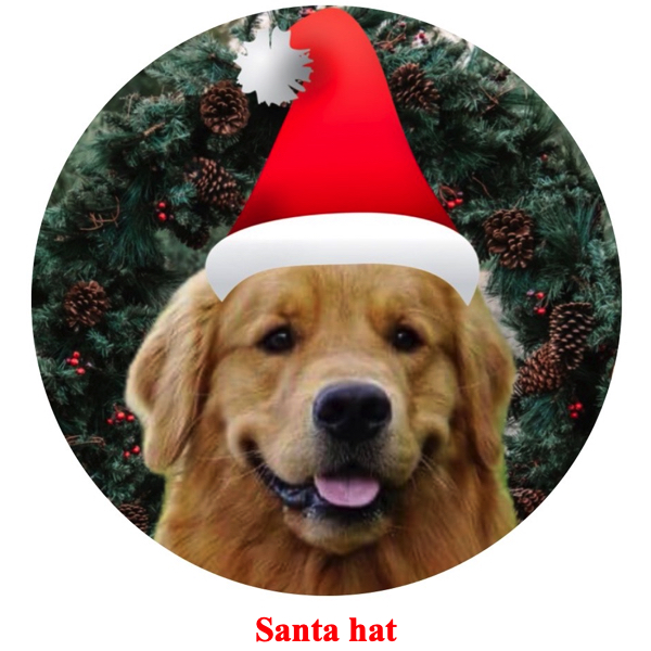 Personalized pet in a Christmas sweater or hat