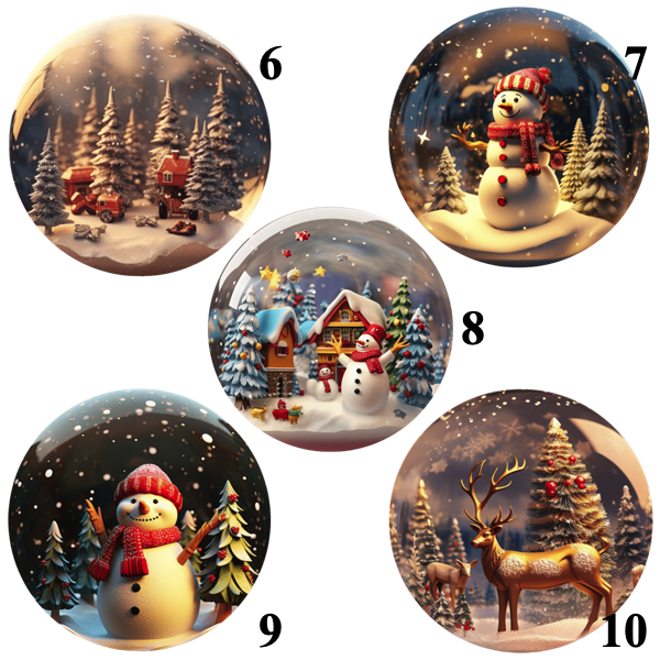 Snow globe ornaments