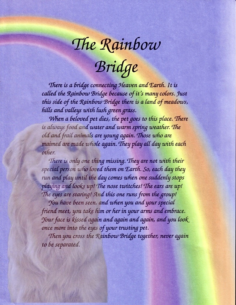 Pet bereavement poems