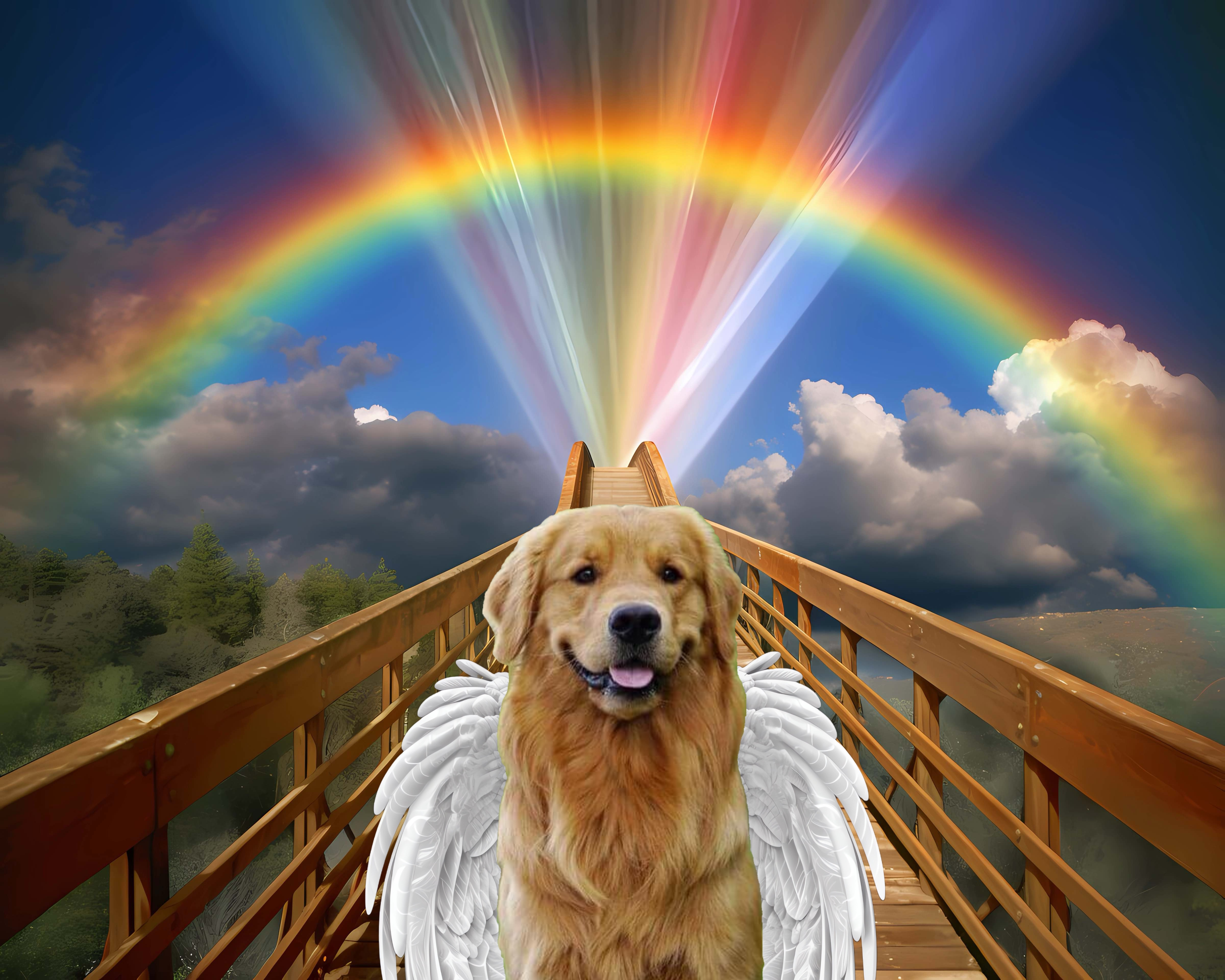Pet bereavement poems
