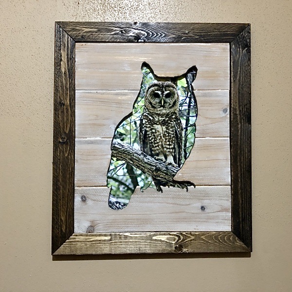 Owl cutout with your choice of day or nightime scene.