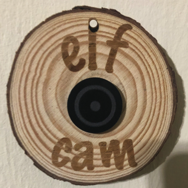 elf cam on wood slice ornament