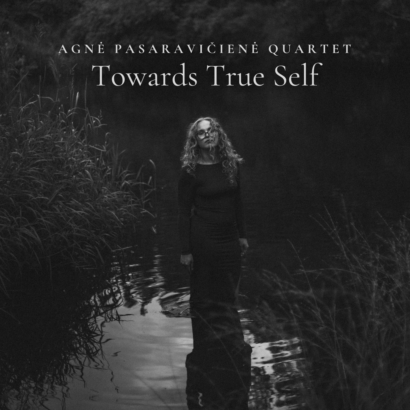 "Towards True Self" (digital album)