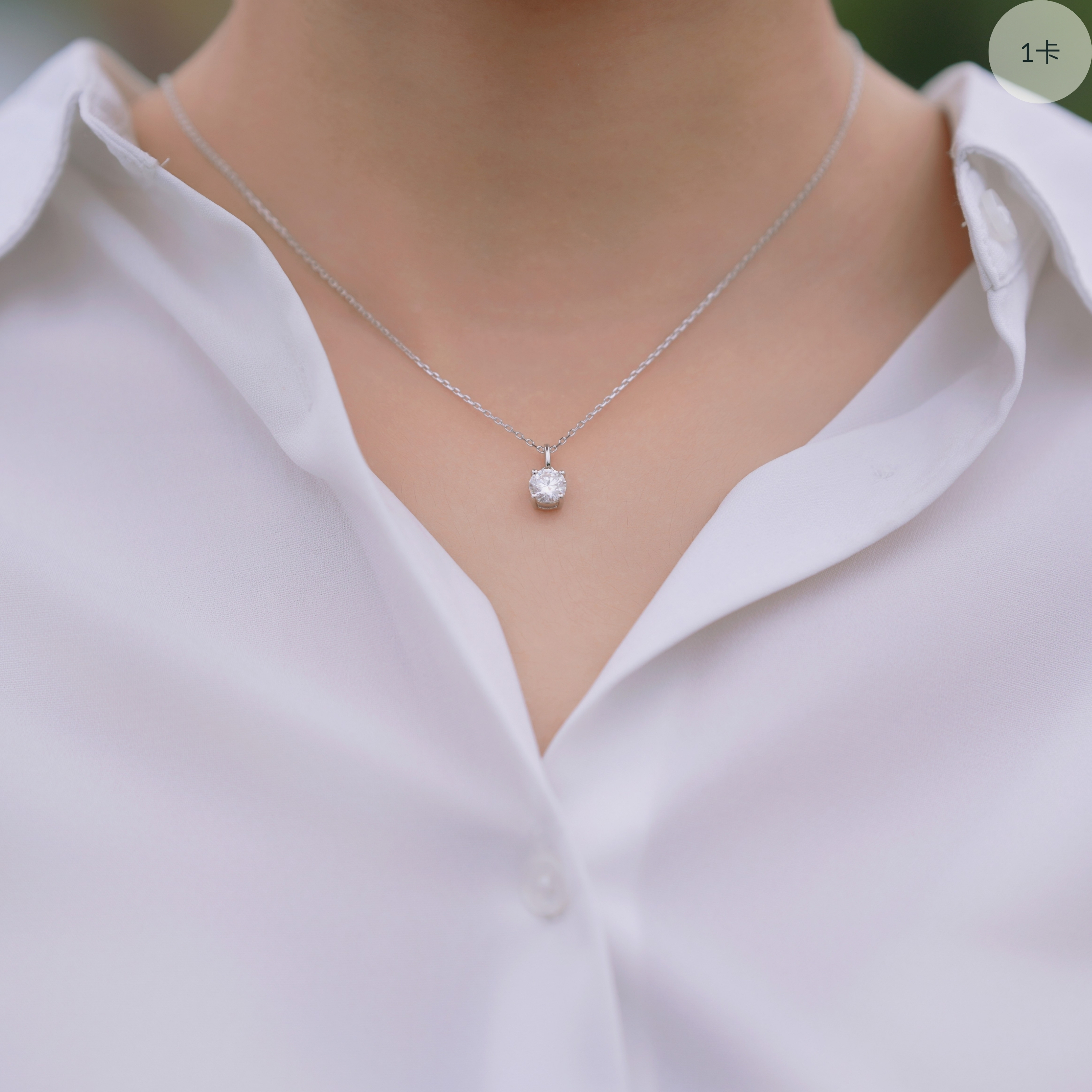 Timeless Elegance Pairing