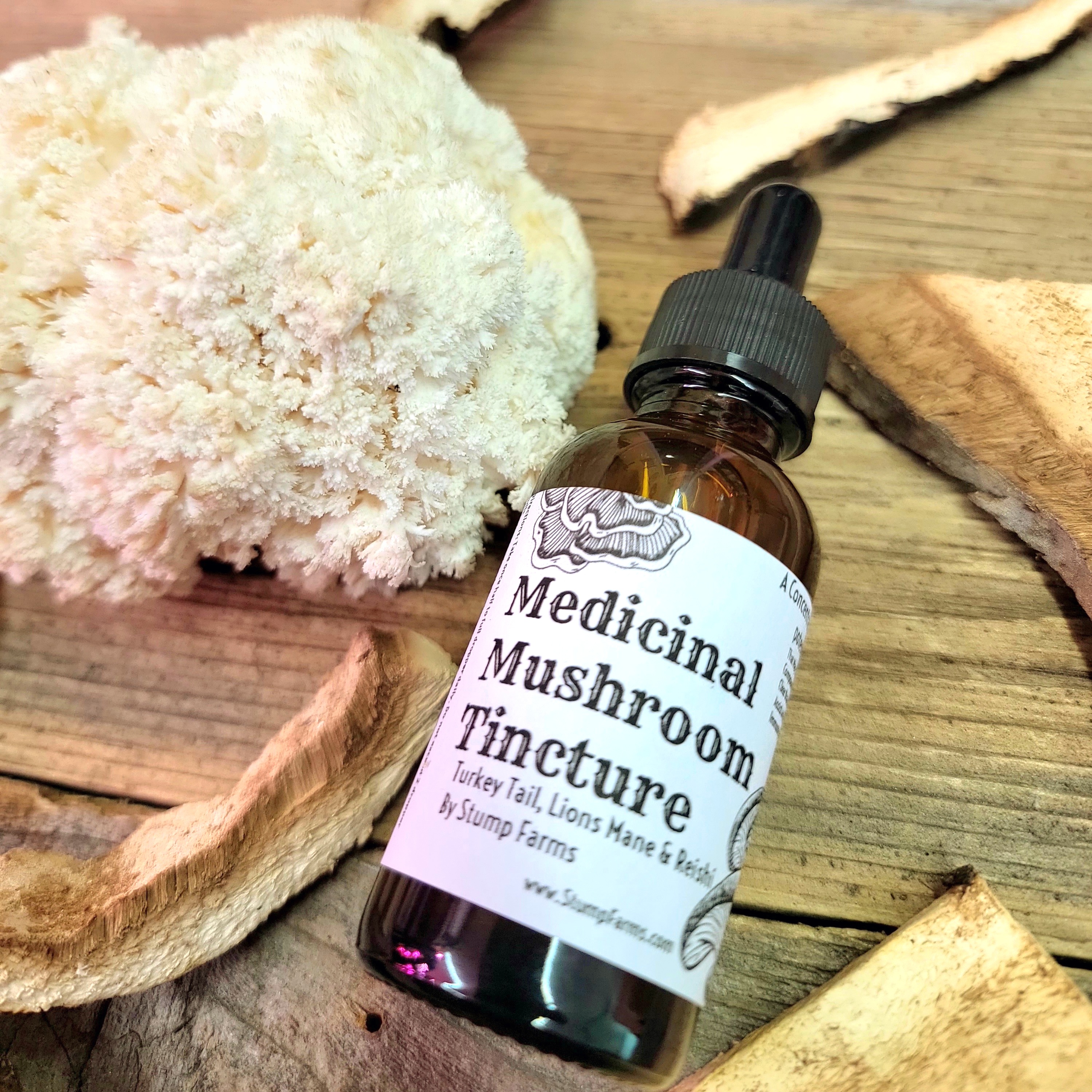Medicinal Mush Tincture