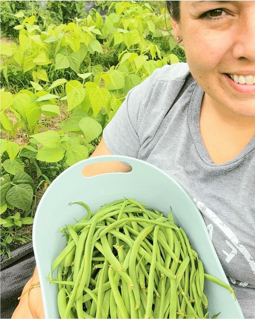 Dilly Beans