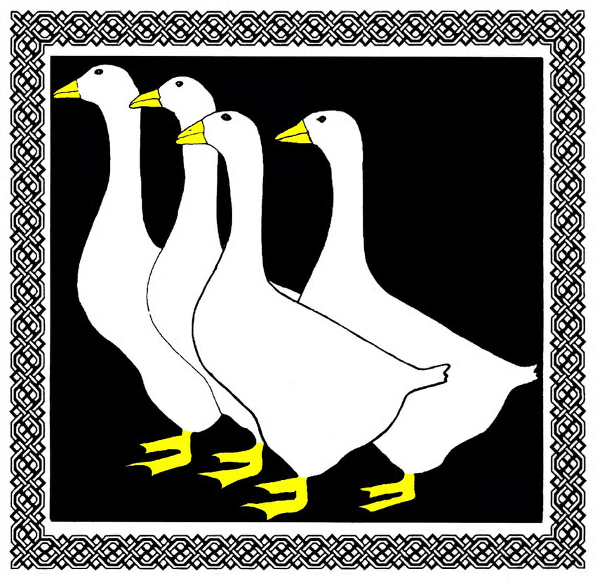 Goose Fair Donation