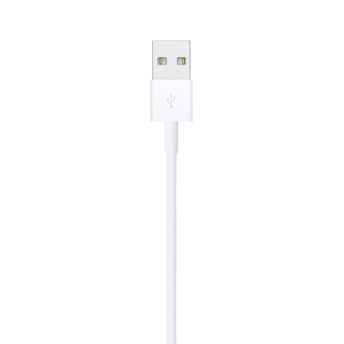 Cabo de Lightning para USB