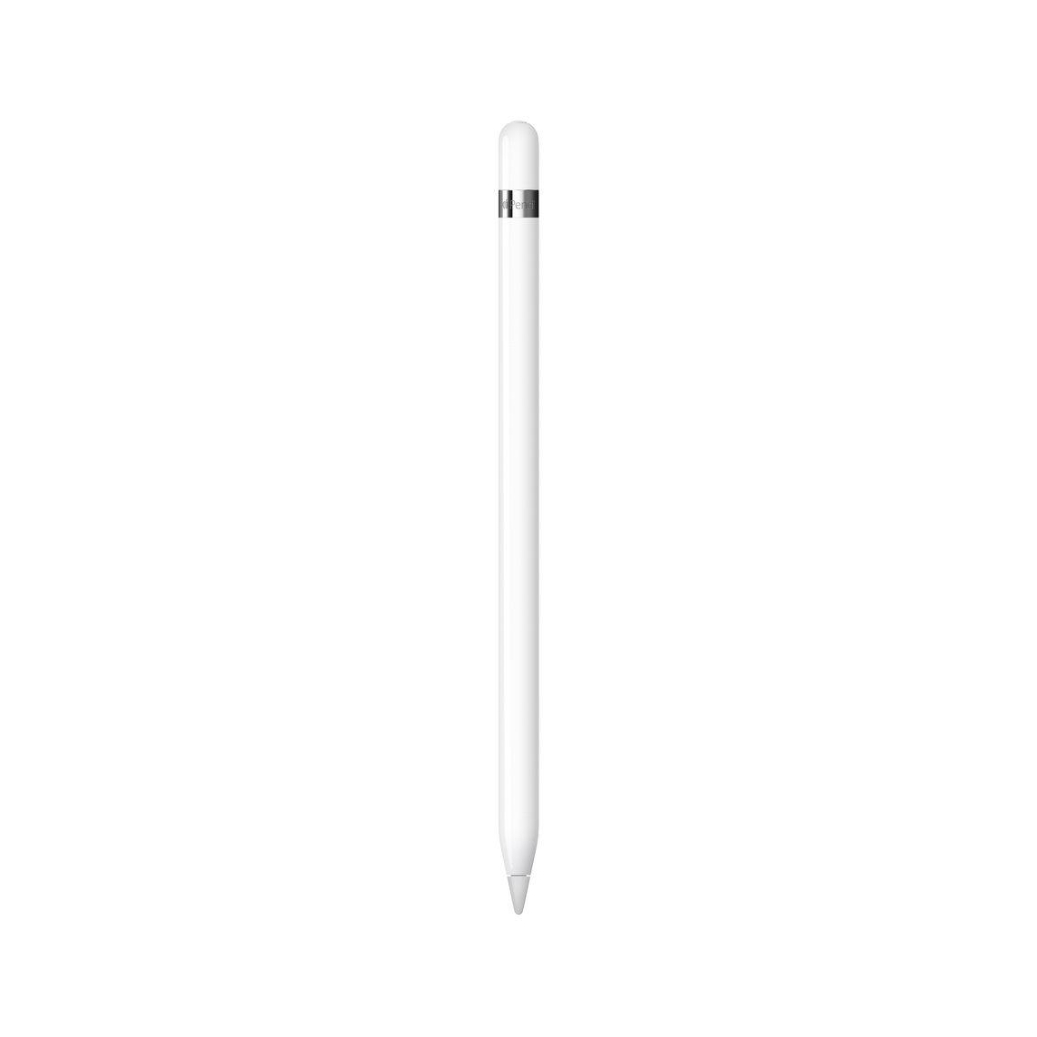 Apple Pencil (1ª New )