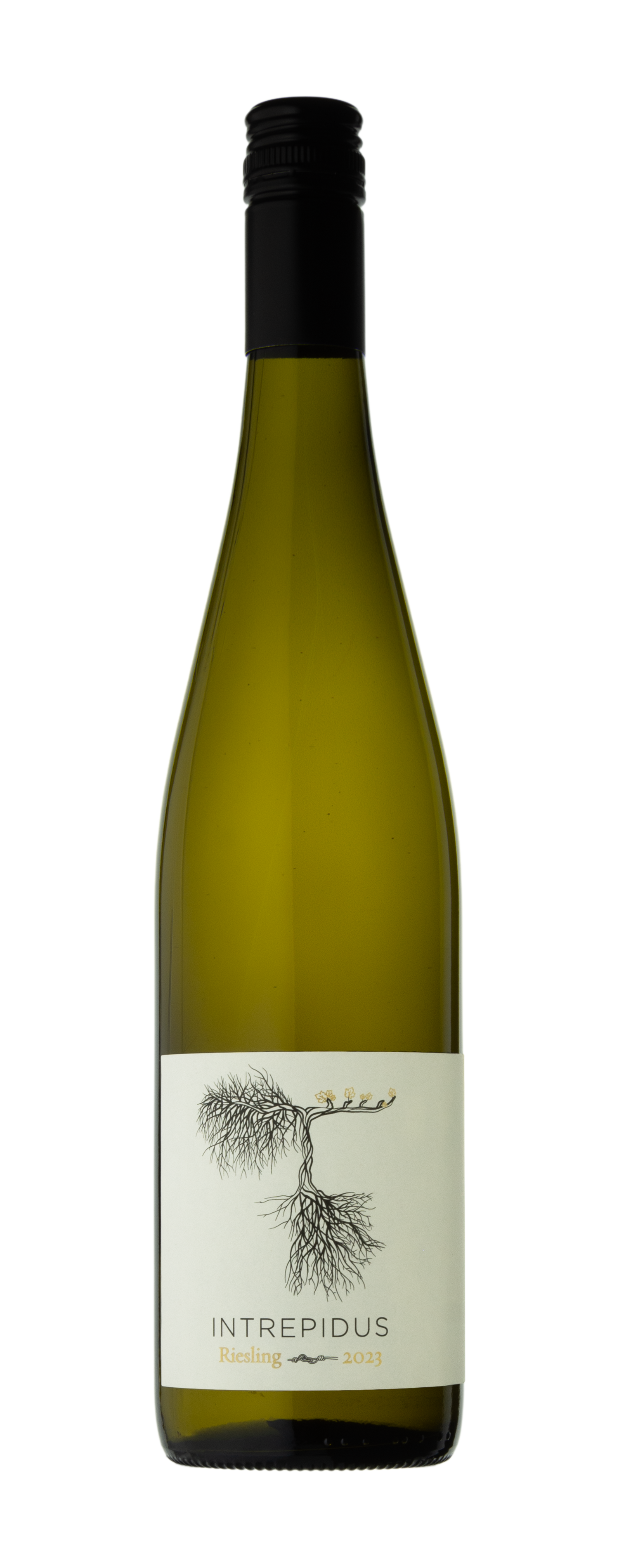 Riesling 2023