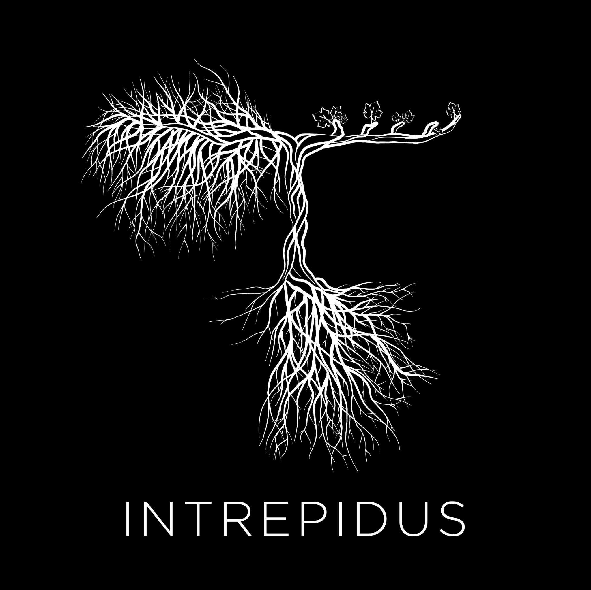Intrepidus 20 Club 