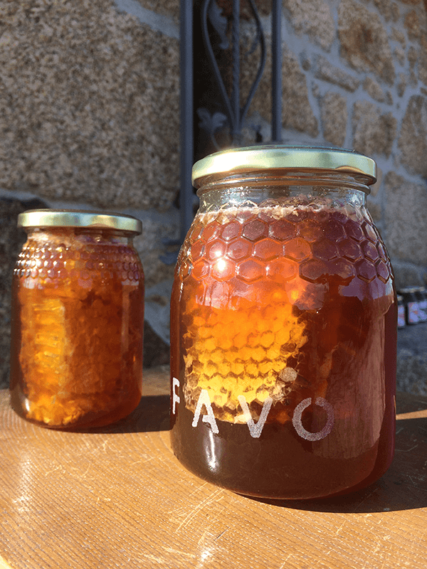 Frasco de mel grande - multifloral com Favo