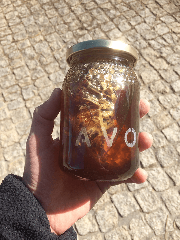 Frasco de mel pequeno - multifloral com Favo