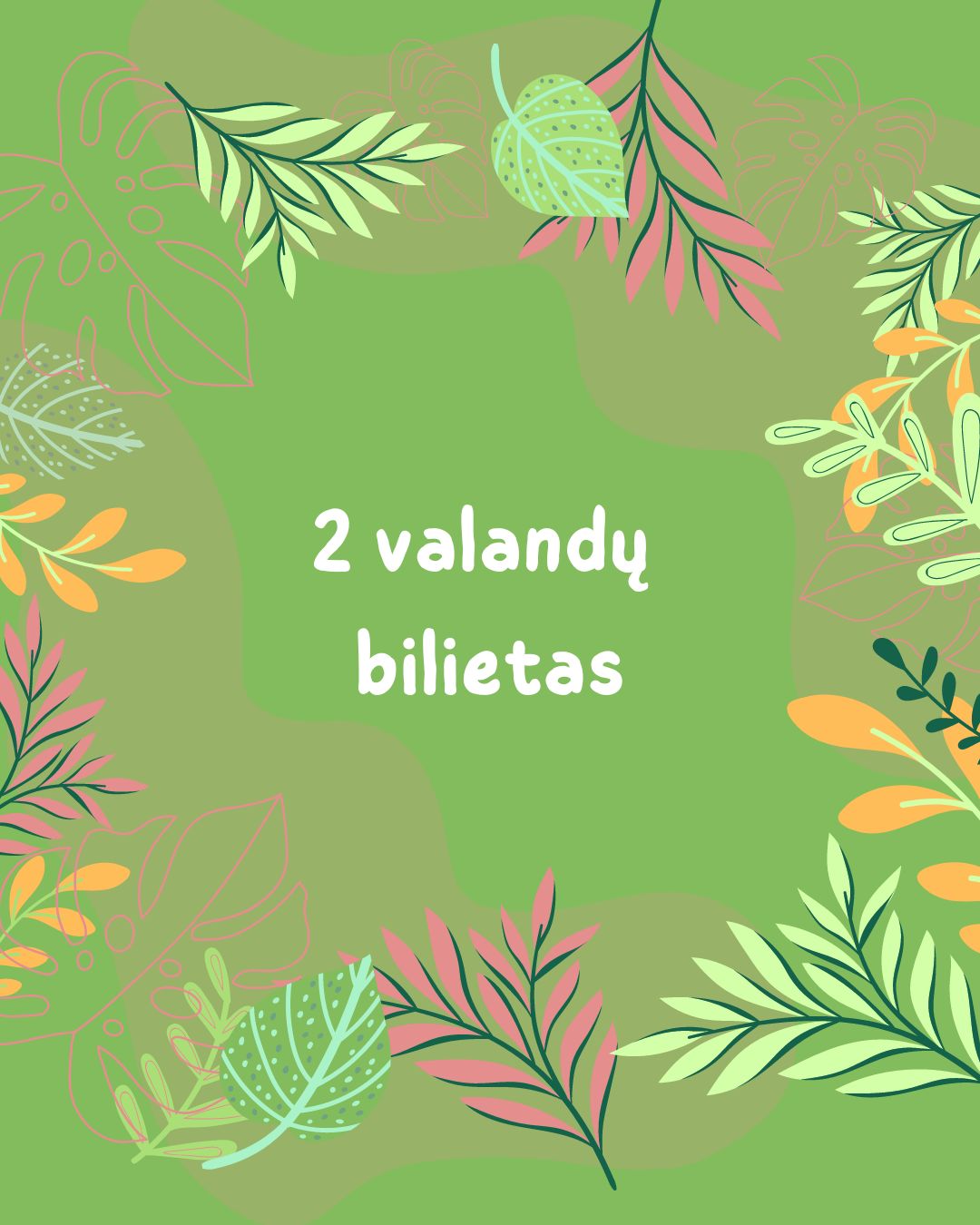 2 valandų bilietas