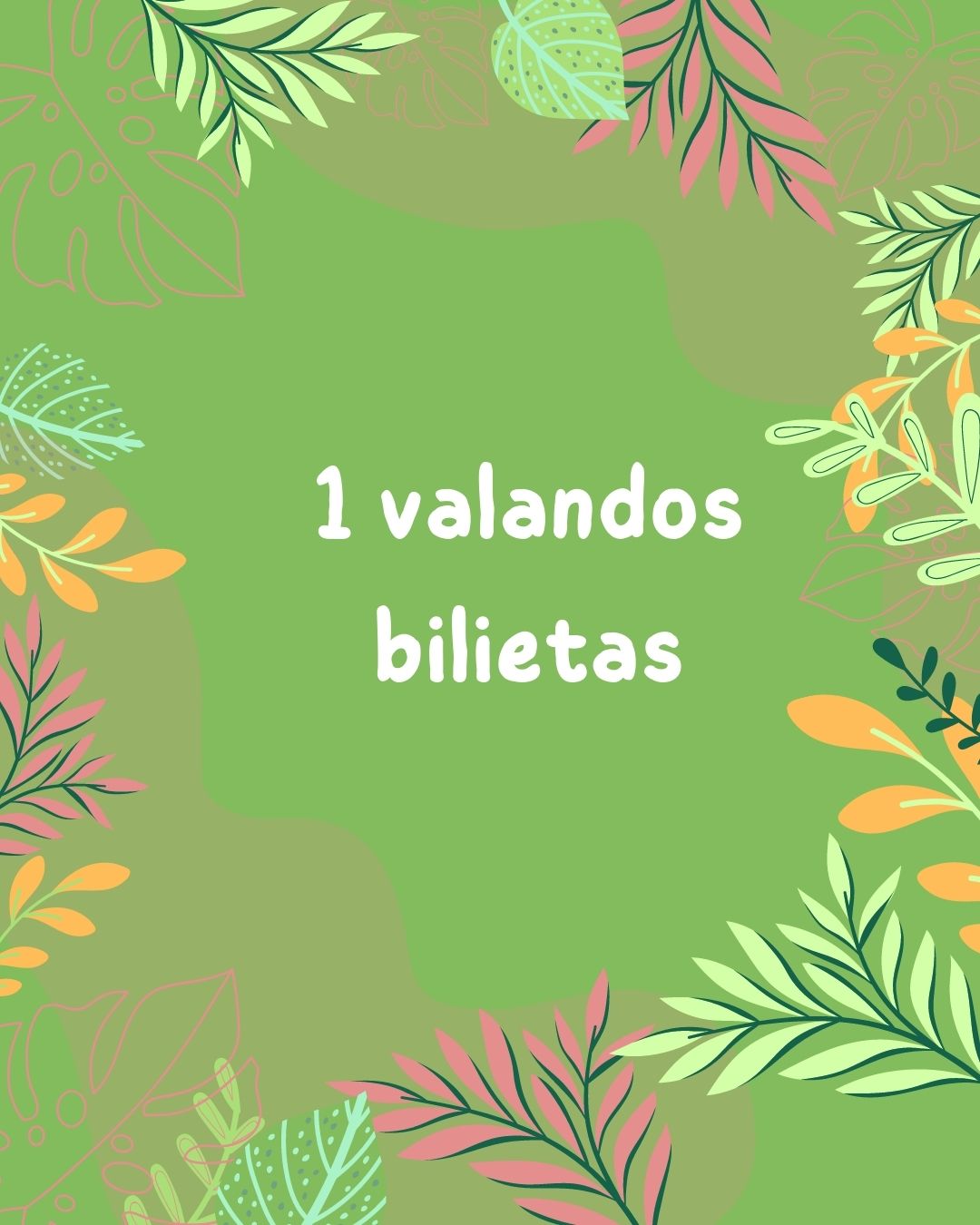 1 valandos bilietas