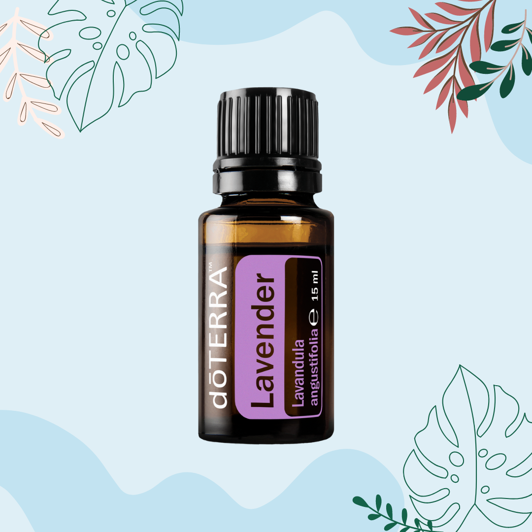 Lavender (Levandų) (15ml)