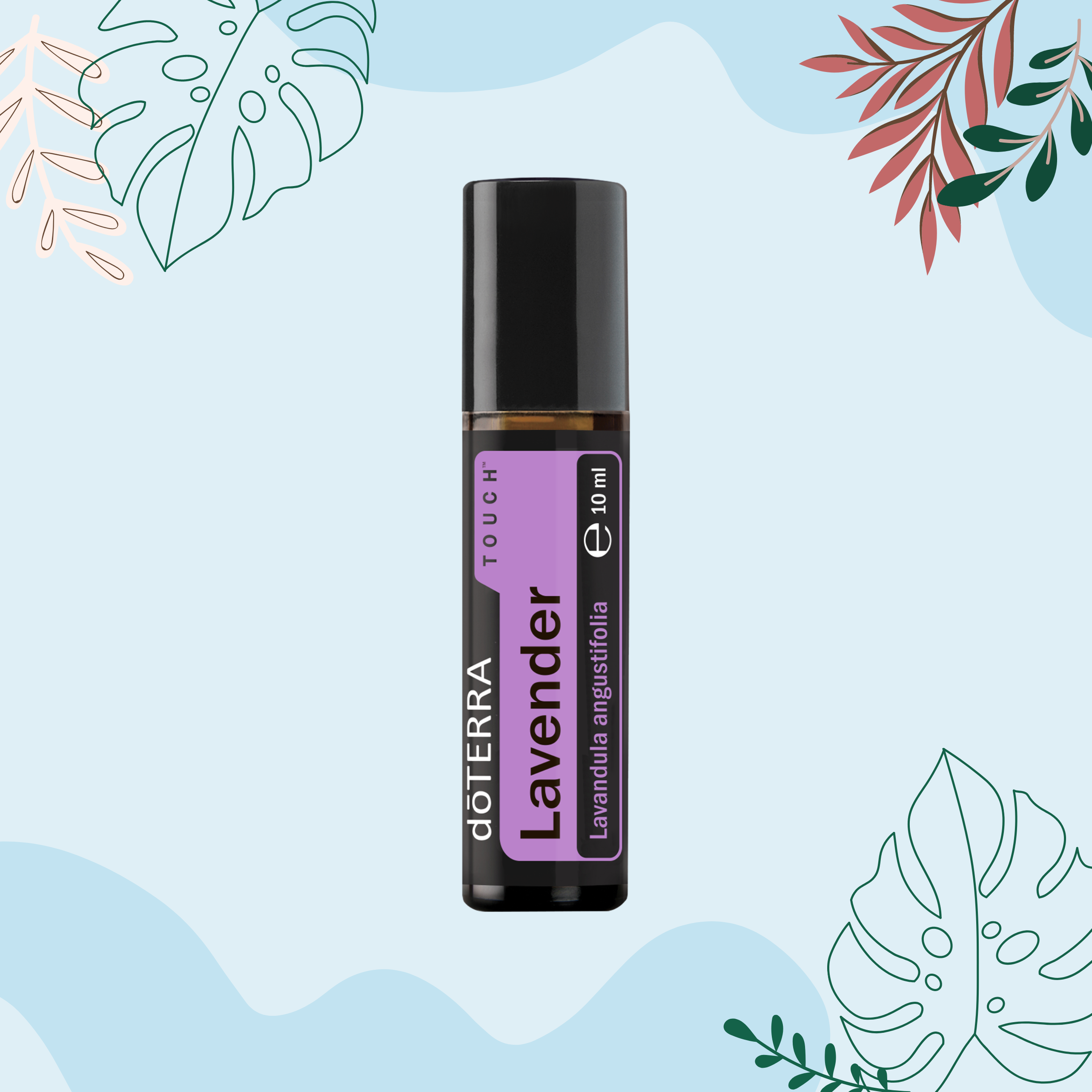 Lavender (Levandų) Touch (10ml) buteliuke su rutuliniu aplikatoriumi