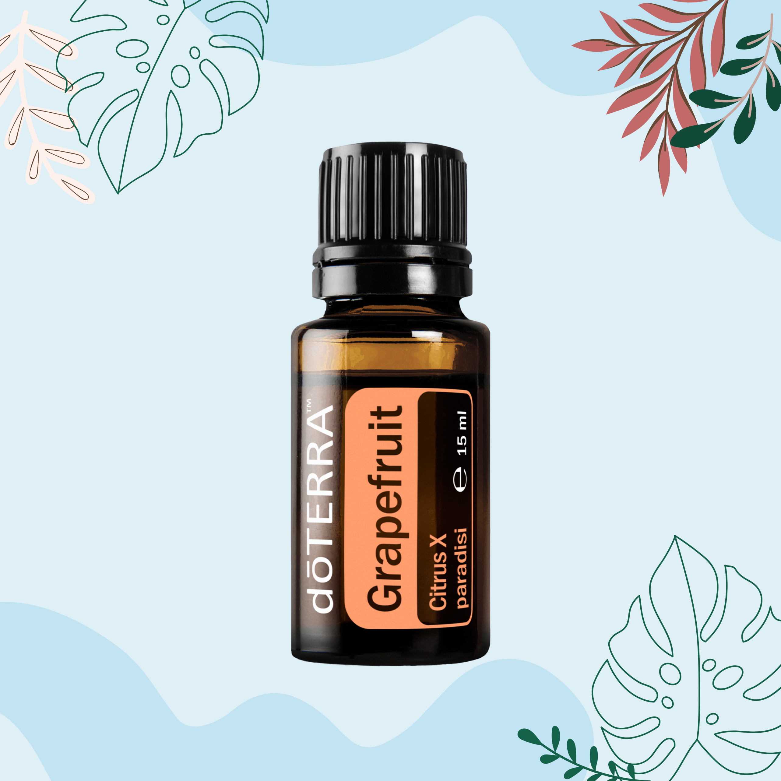 Grapefruit (Greipfrutų) (15ml) 