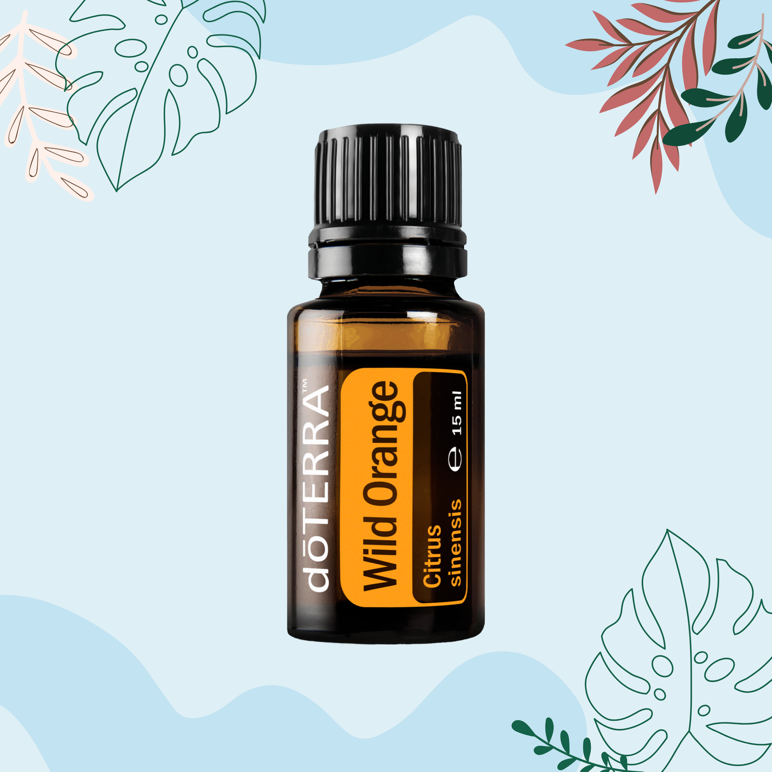 Wild Orange (Laukinių apelsinų) (15ml)
