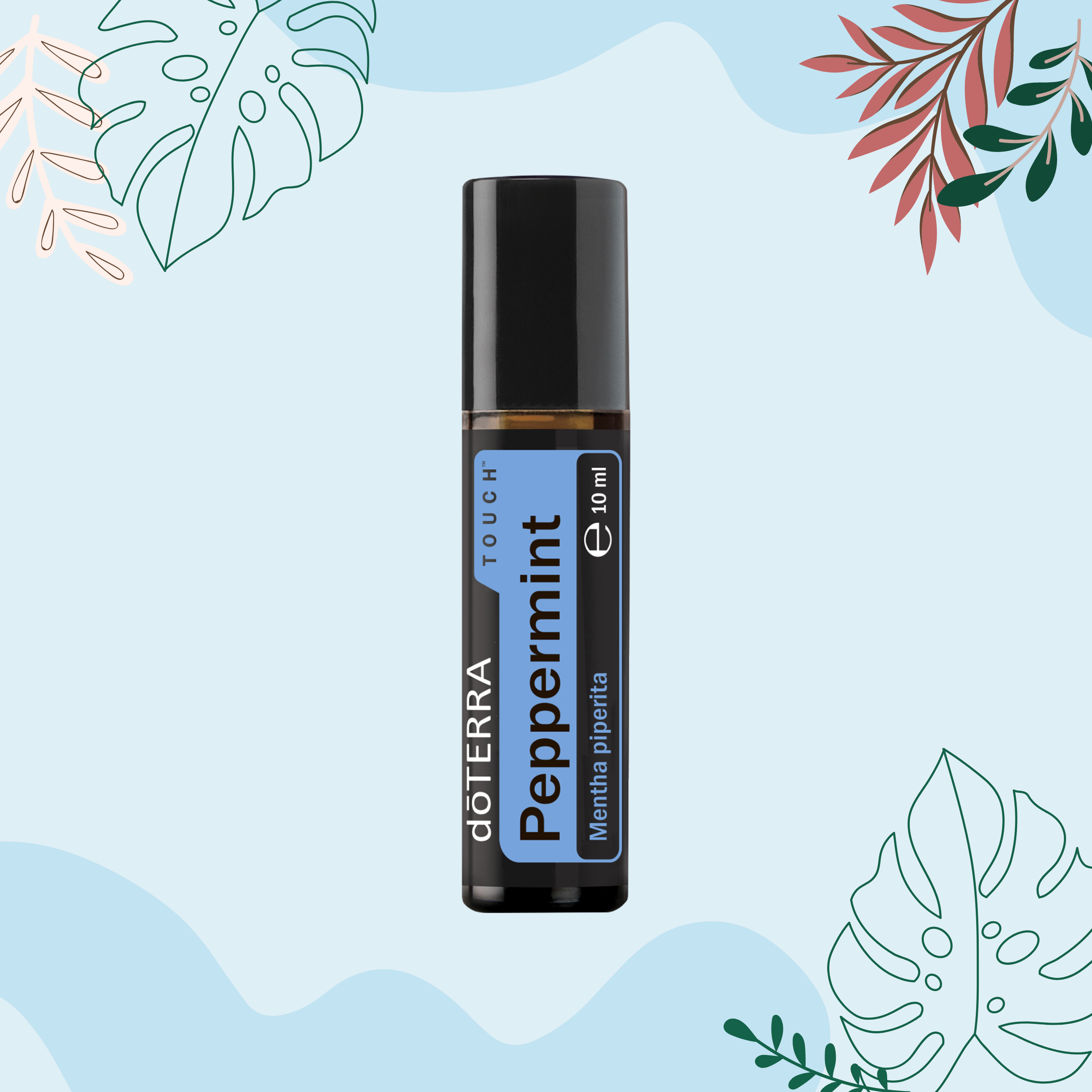 Peppermint (Pipirmėčių) Touch (10ml) buteliuke su rutuliniu aplikatoriumi