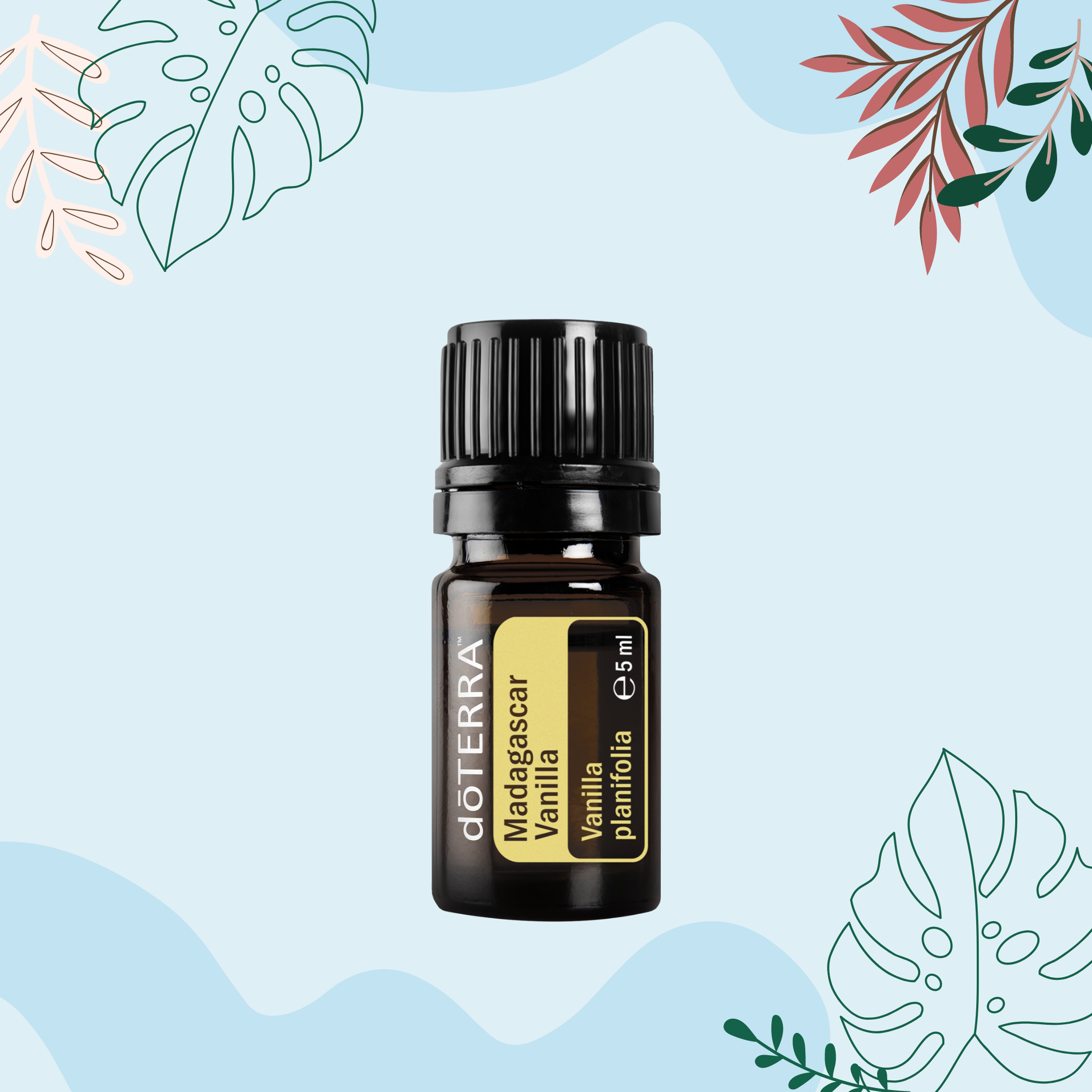 Madagascar Vanilla (Madagaskaro vanilė) (5ml)