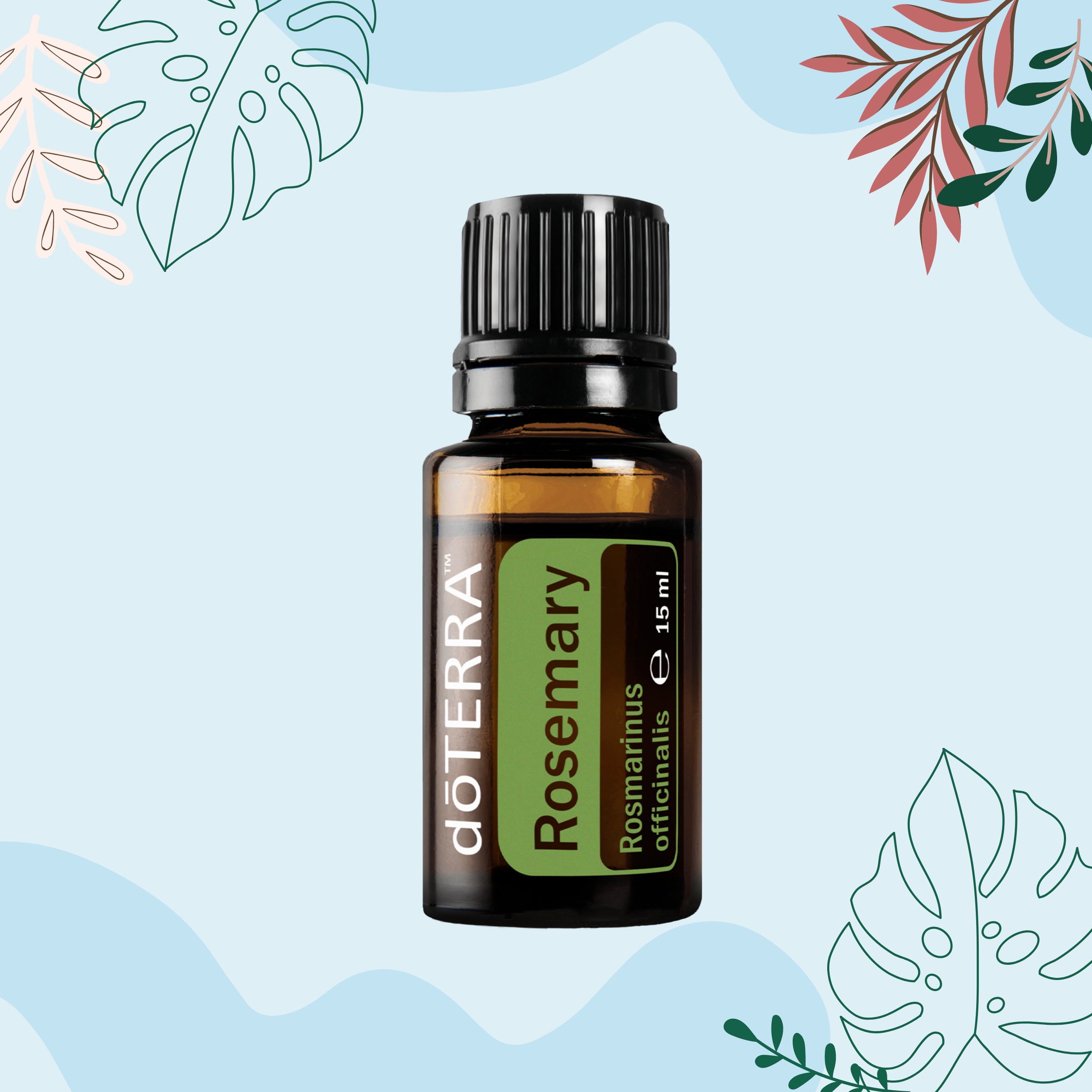 Rosemary (Rozmarinų) (15ml)