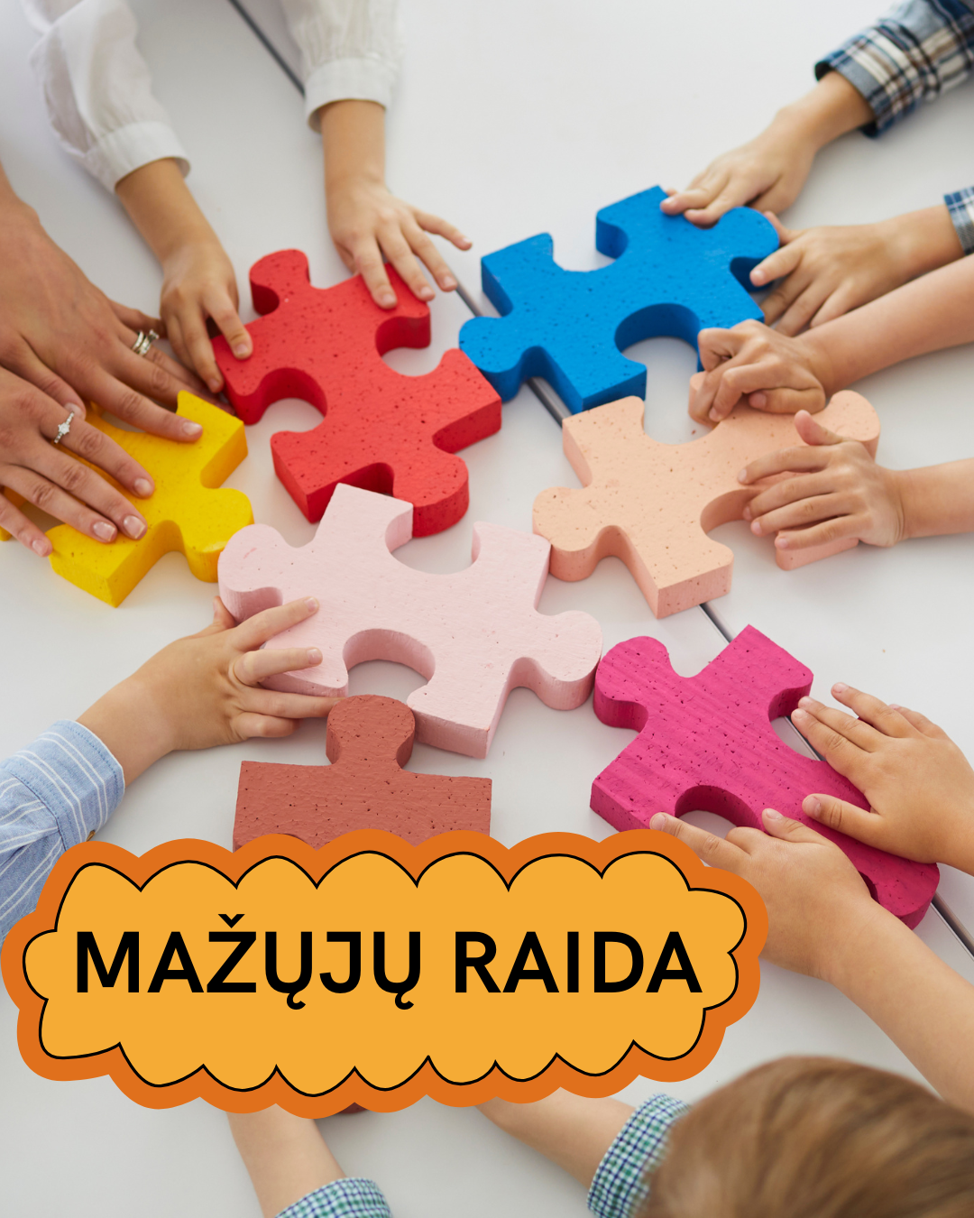 Vienkartinis apsilankymas