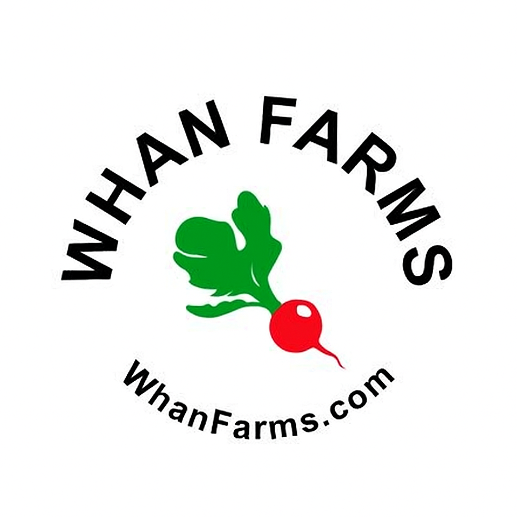 Discount Beef Prime Rib Steak