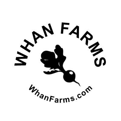 Pasture Raised  Whole Turkey