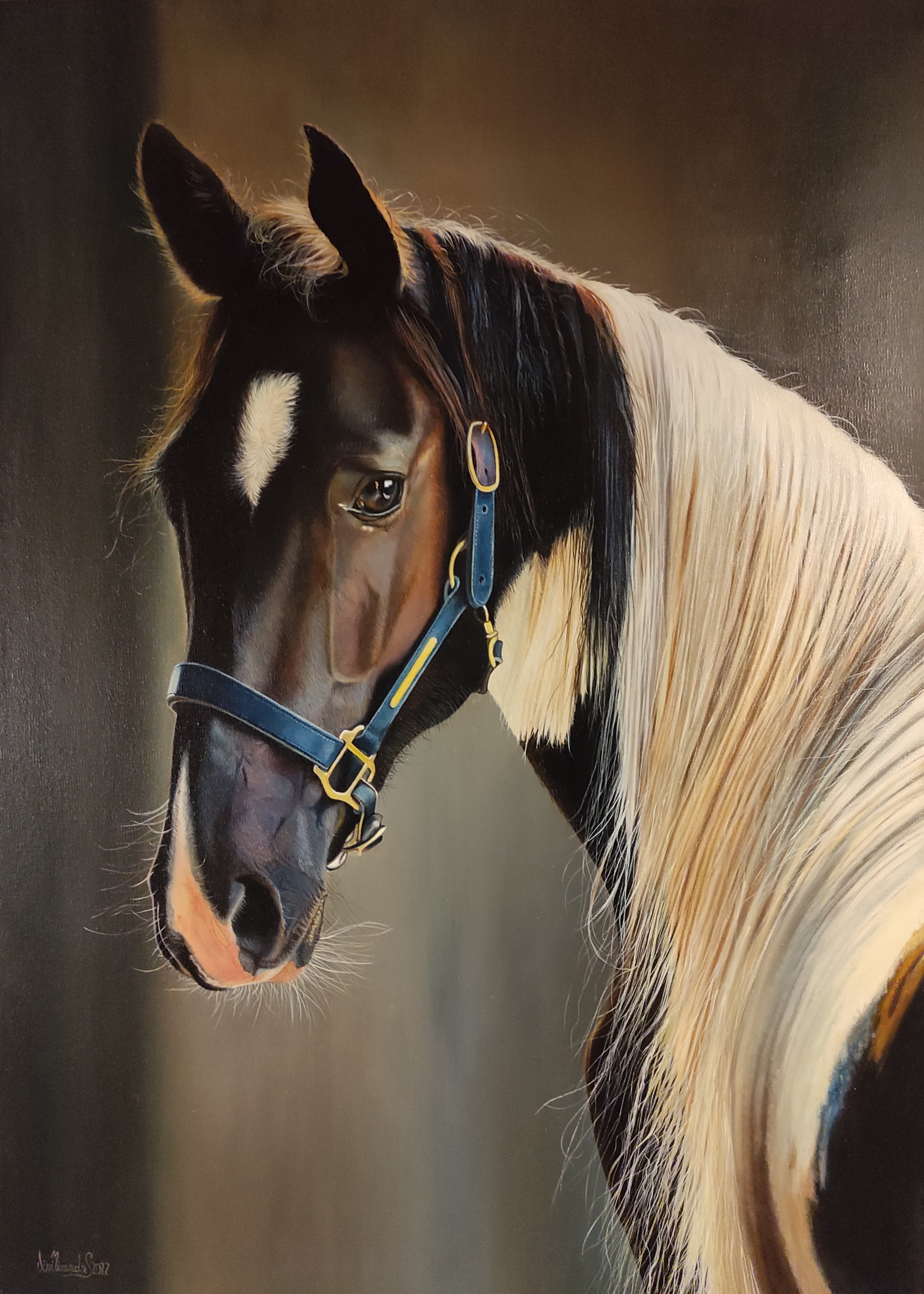 Majestic Stride: A horse´s noble profile
