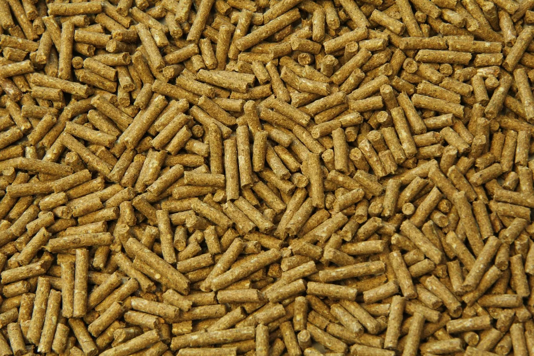 SUBLI MERRIE 20 kg - Pašaras kumelingoms kumelėms, reprodukciniams eržilams ir kumeliukams