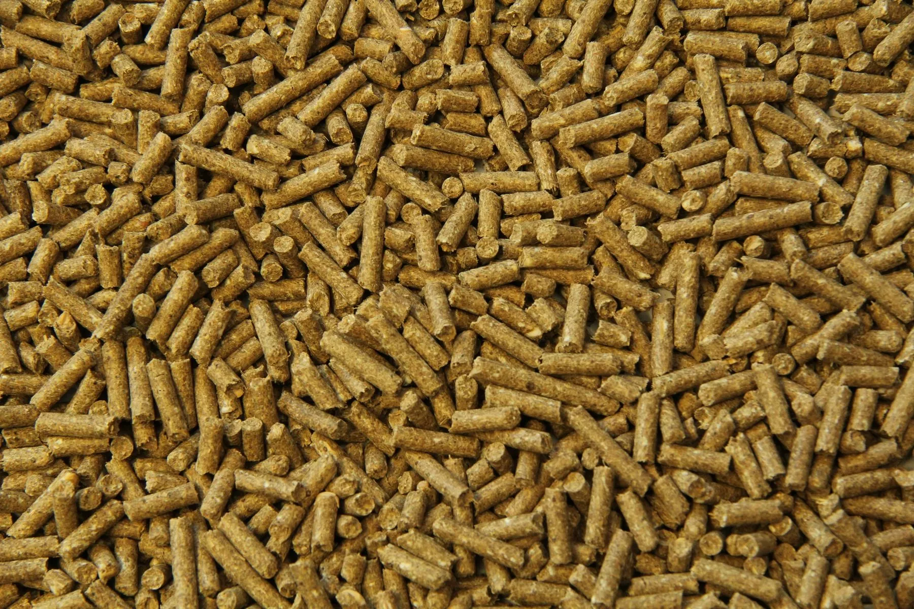 SUBLI SPORTBROK+  Pašaras sportiniems žirgams 20kg