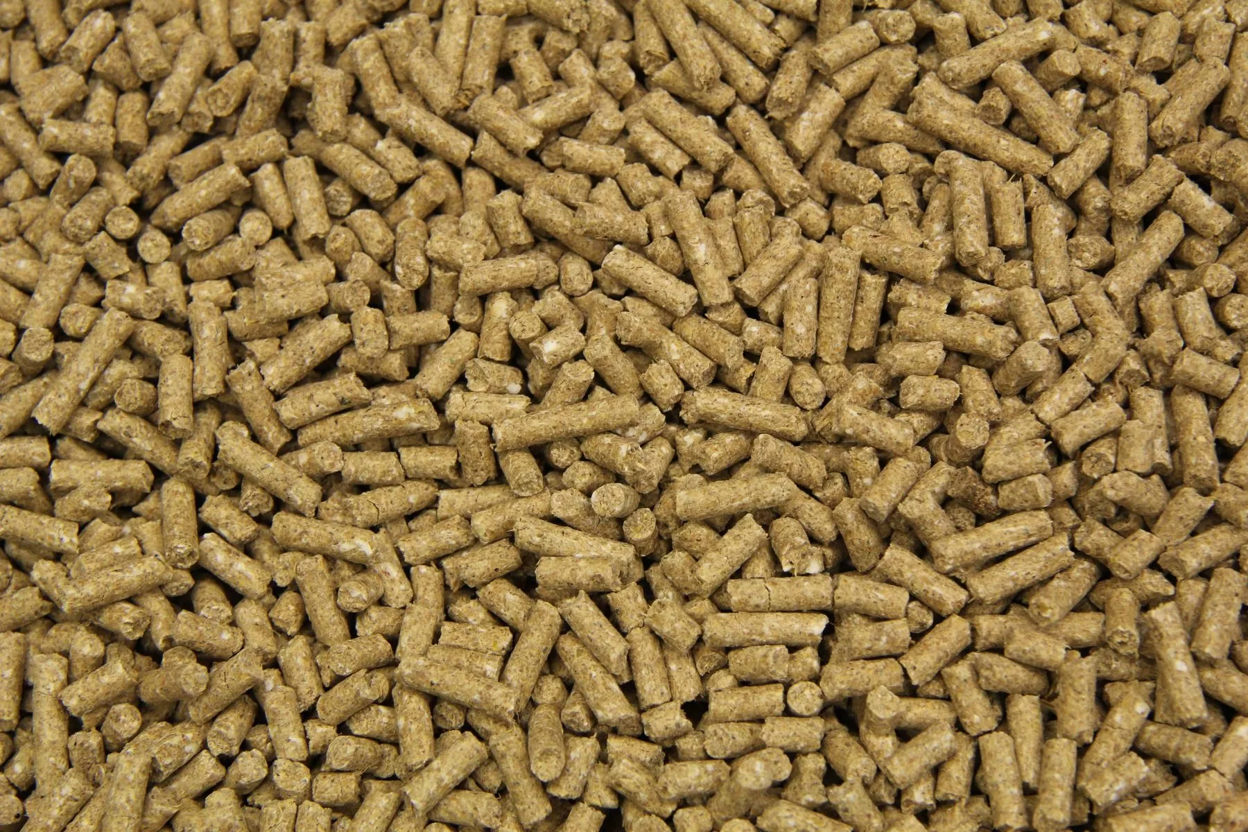 SUBLI VEULENBROK - Pašaras kumeliukams 20kg